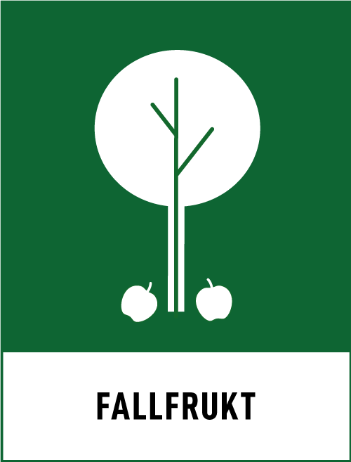 Fallfrukt