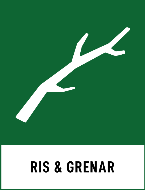 Ris & grenar